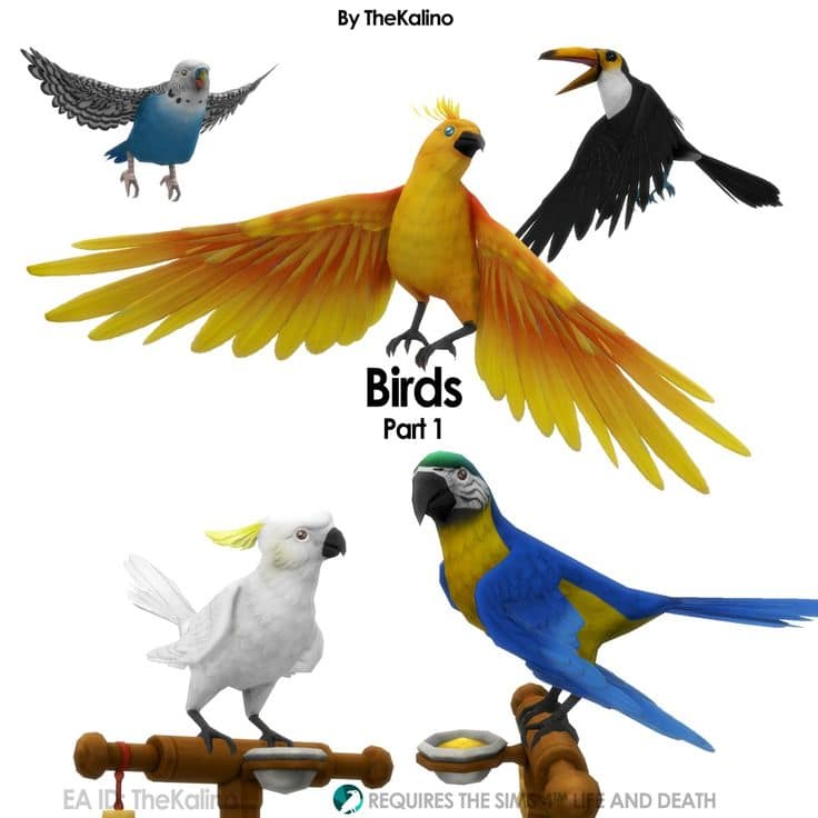 sims 4 birds cc