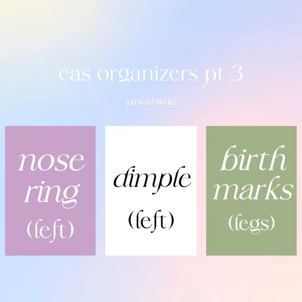 best cas organizer mod