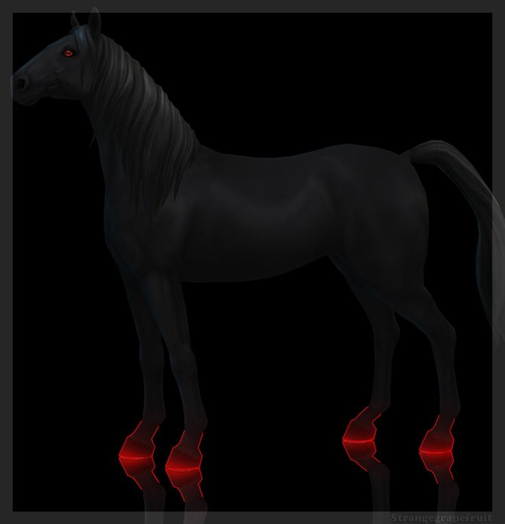 latest sims 4 horse cc