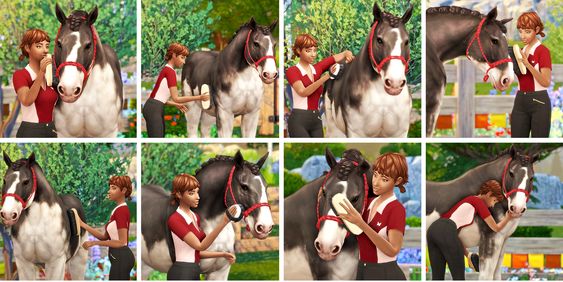 sims 4 equistyle horse poses