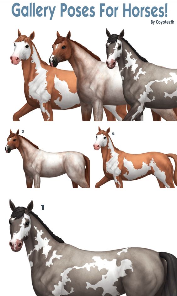 sims 4 horse gallery poses