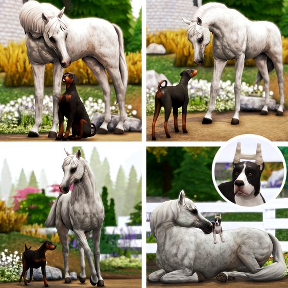 sims 4 horses and dogs poses