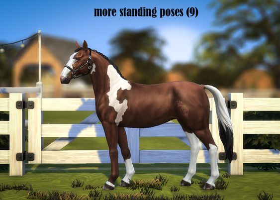 sims 4 standing poses