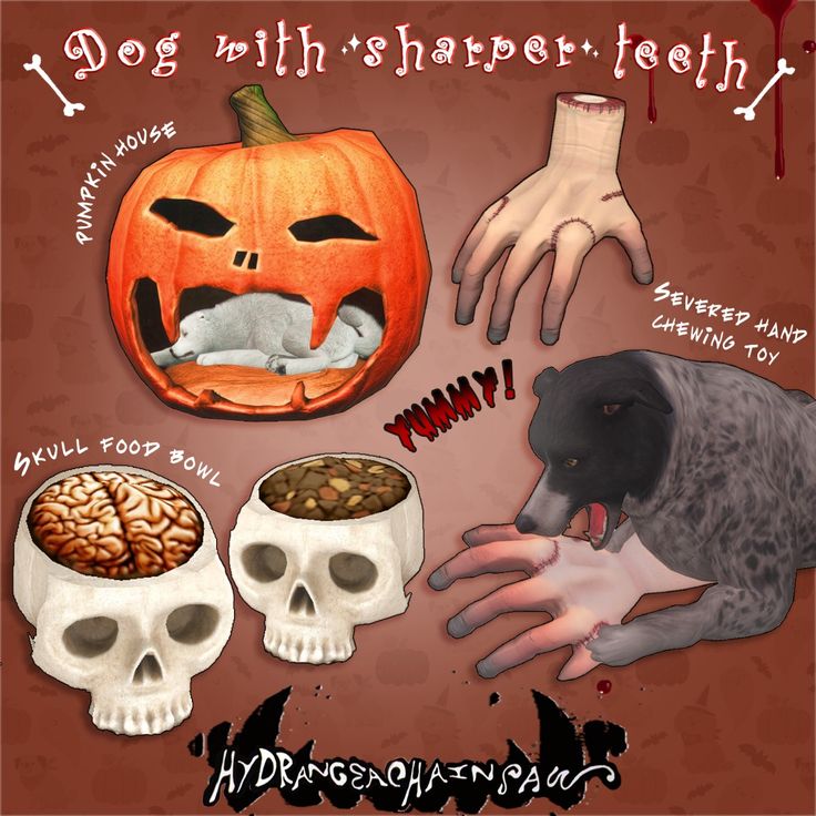 the best sims 4 halloween decor cc
