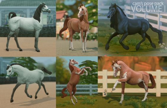 the best sims 4 horse poses