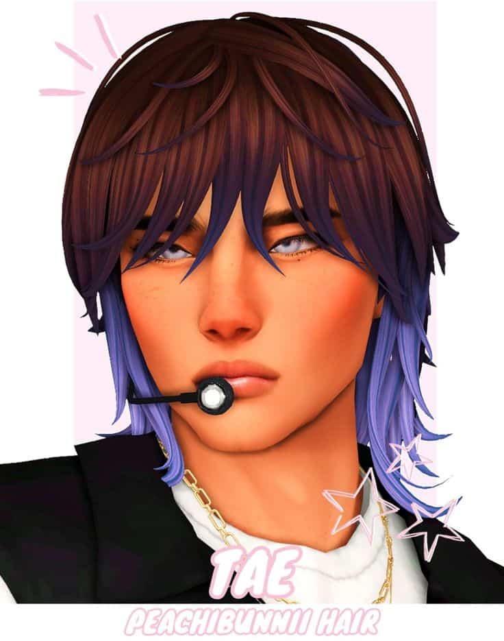 sims 4 tae hair